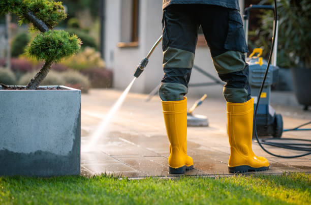 Best Local Pressure Washing Services  in Hollidaysburg, PA